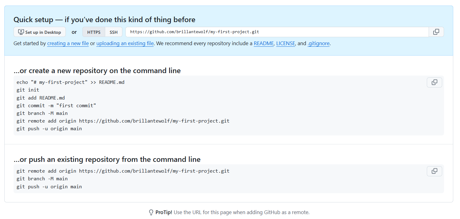 GitHub Code button showing repository URL
